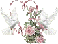 KACED